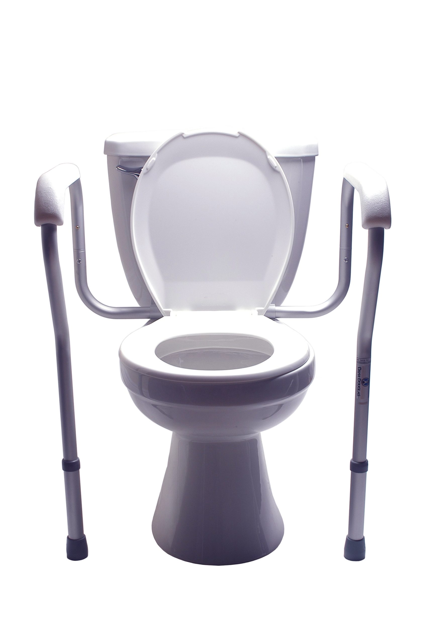 Toilet safety frame